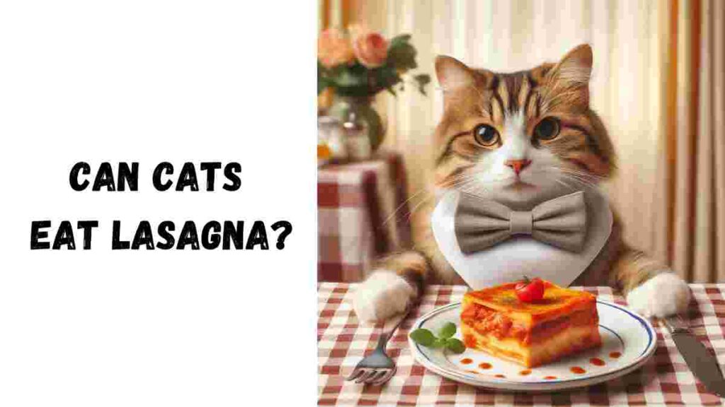 Can Cats Eat Lasagna