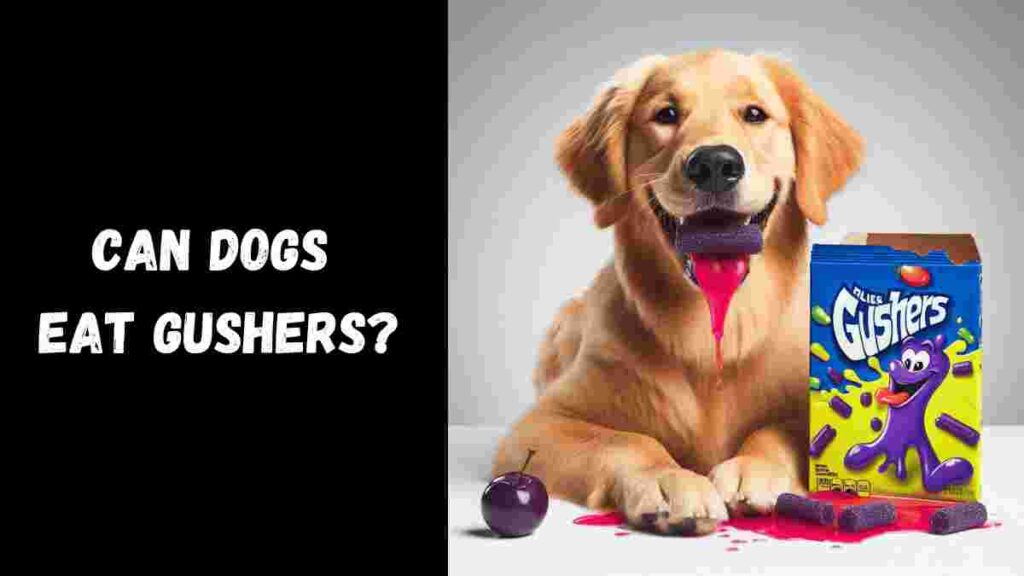 Can Dogs Eat Gushers