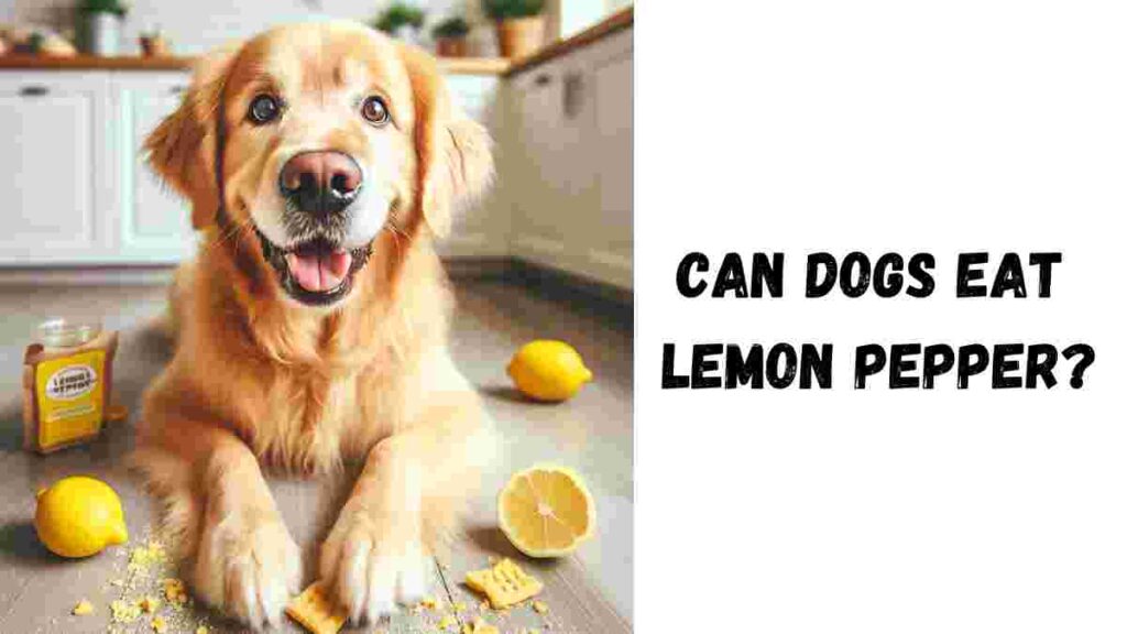 Can Dogs Eat Lemon Pepper