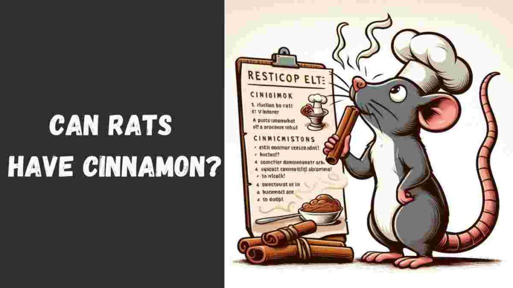 Can rats have cinnamon