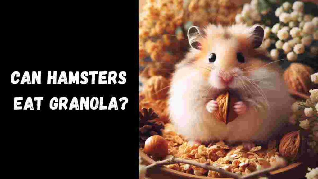 Can Hamsters Eat Granola