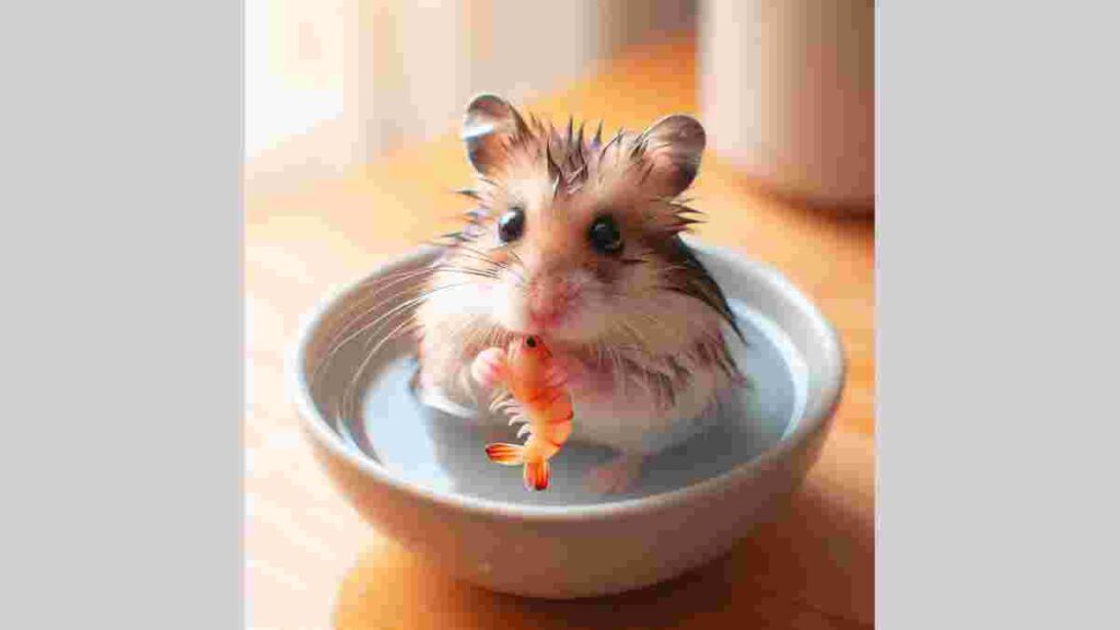 Can Hamsters Eat Shrimp