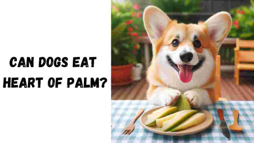 Can dogs eat heart of palm