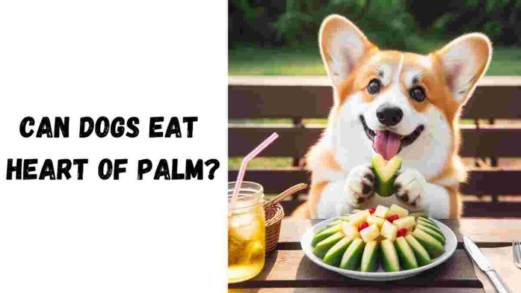 Can dogs eat heart of palm