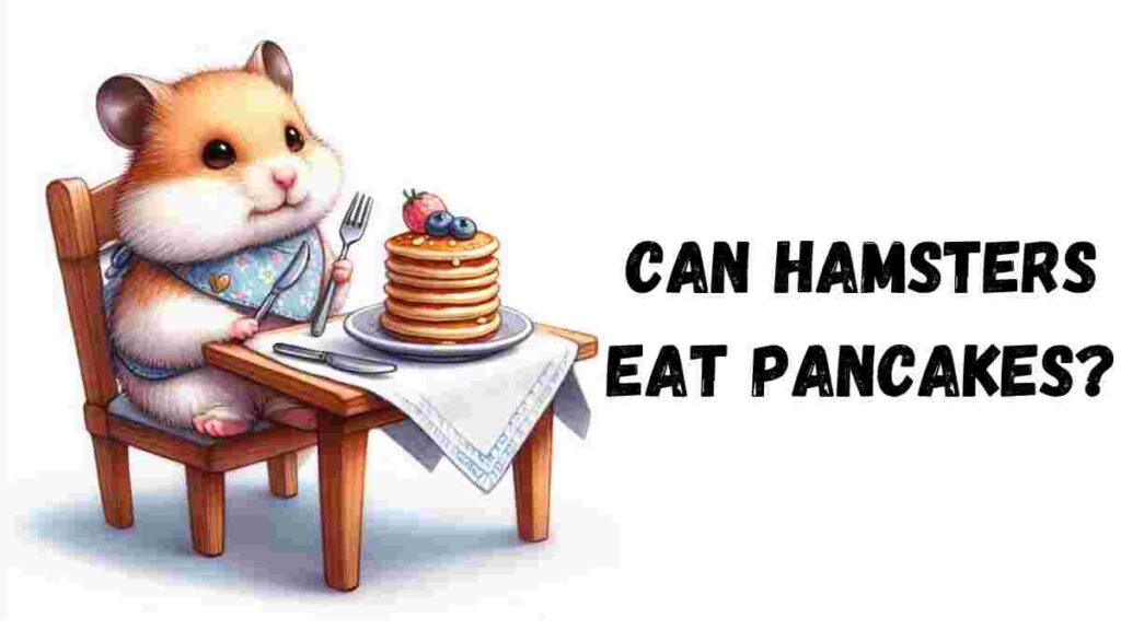 Can hamsters eat pancakes