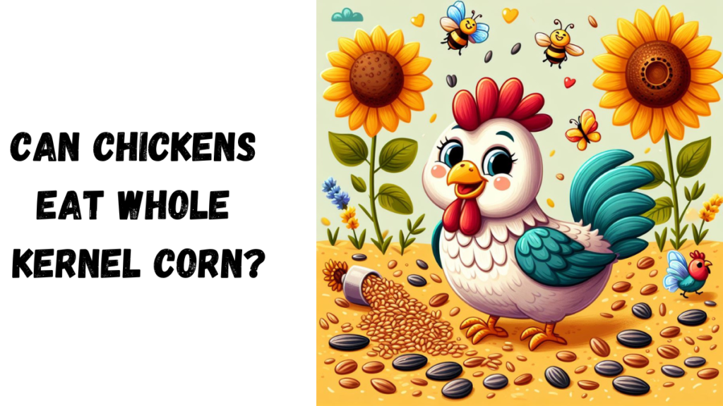 Can chickens eat whole kernel corn