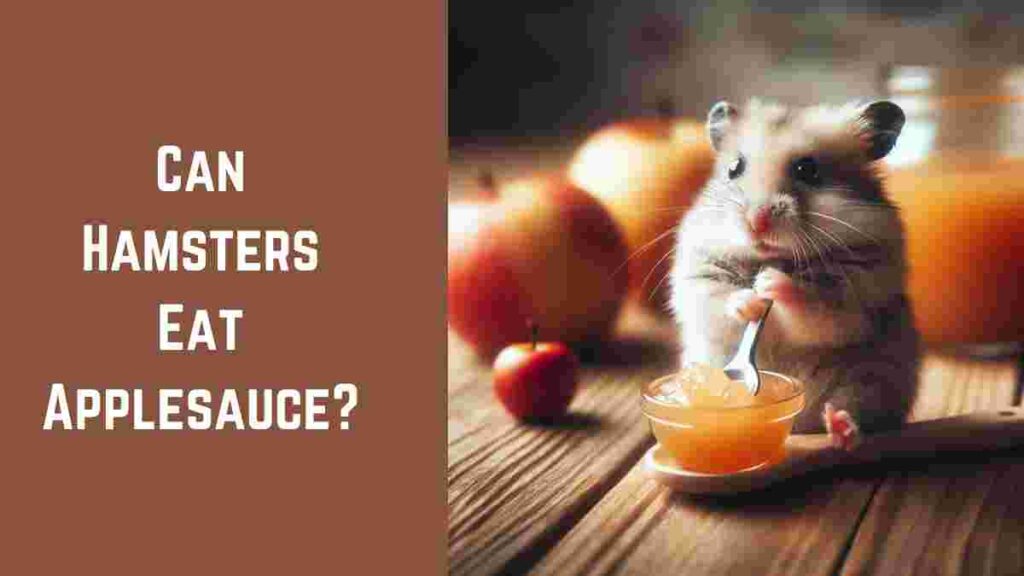 Can Hamsters Eat Applesauce