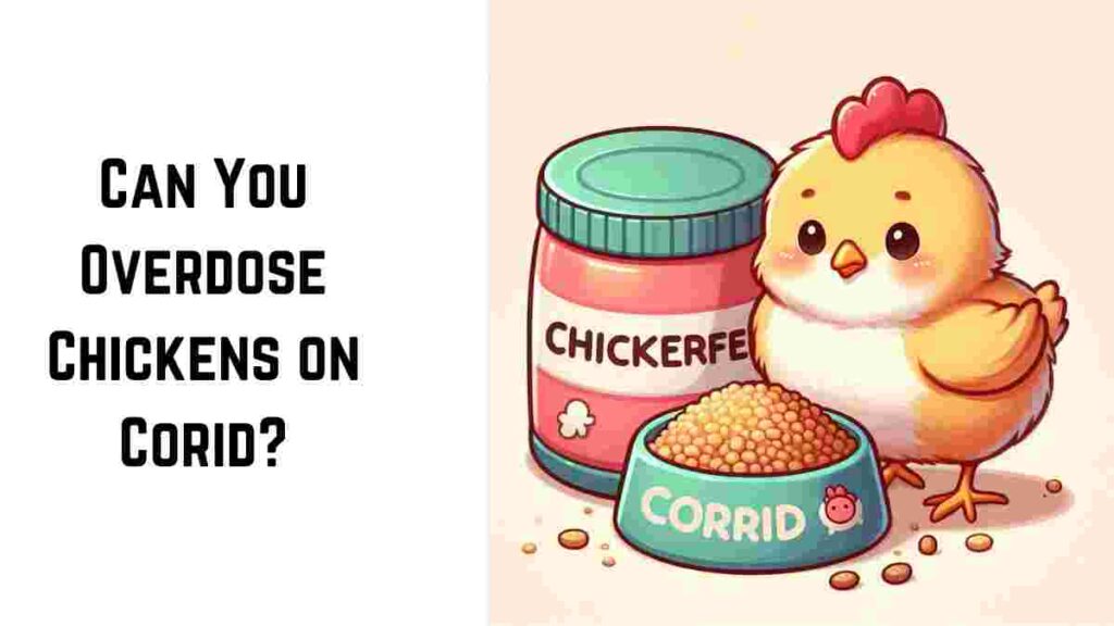 Can You Overdose Chickens on Corid