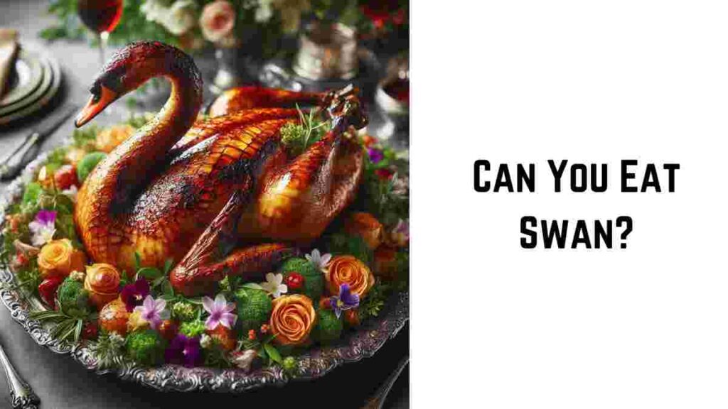 Can You Eat Swan