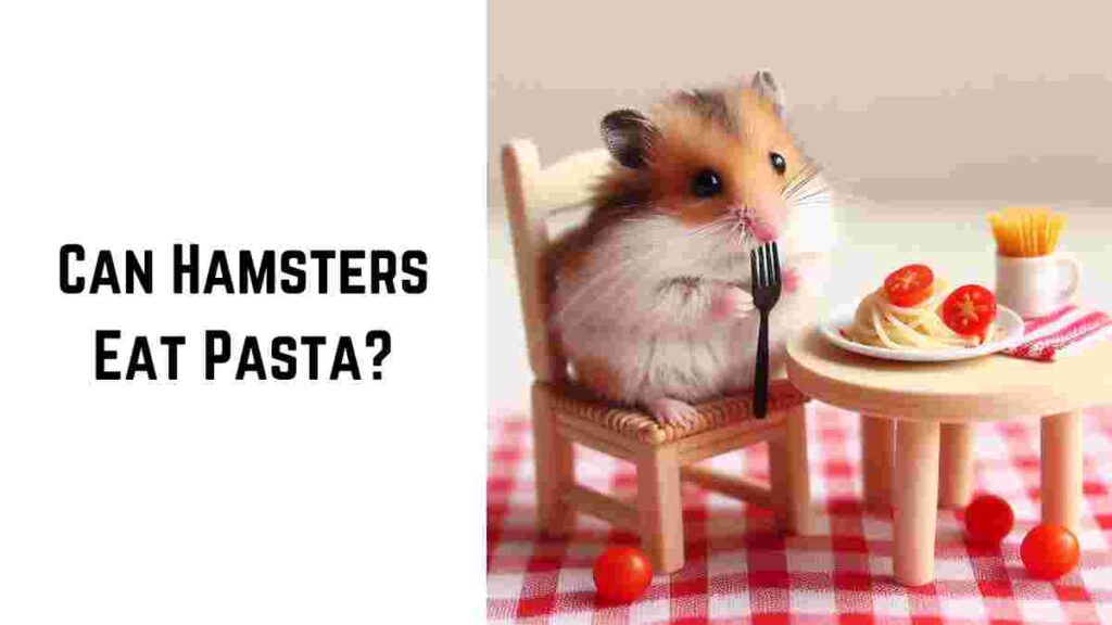 Can Hamsters Eat Pasta (1)