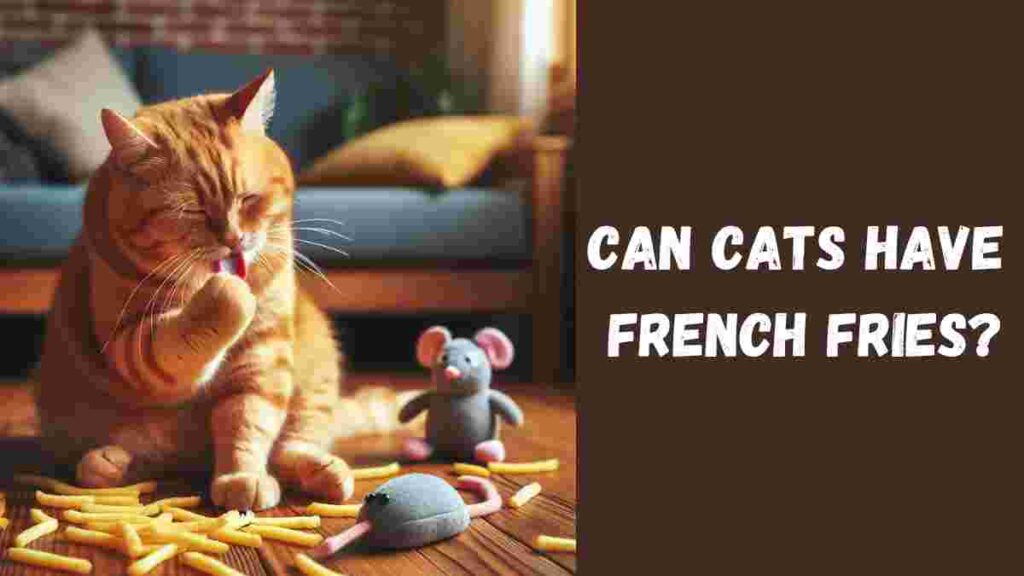 Can Cats Have French Fries