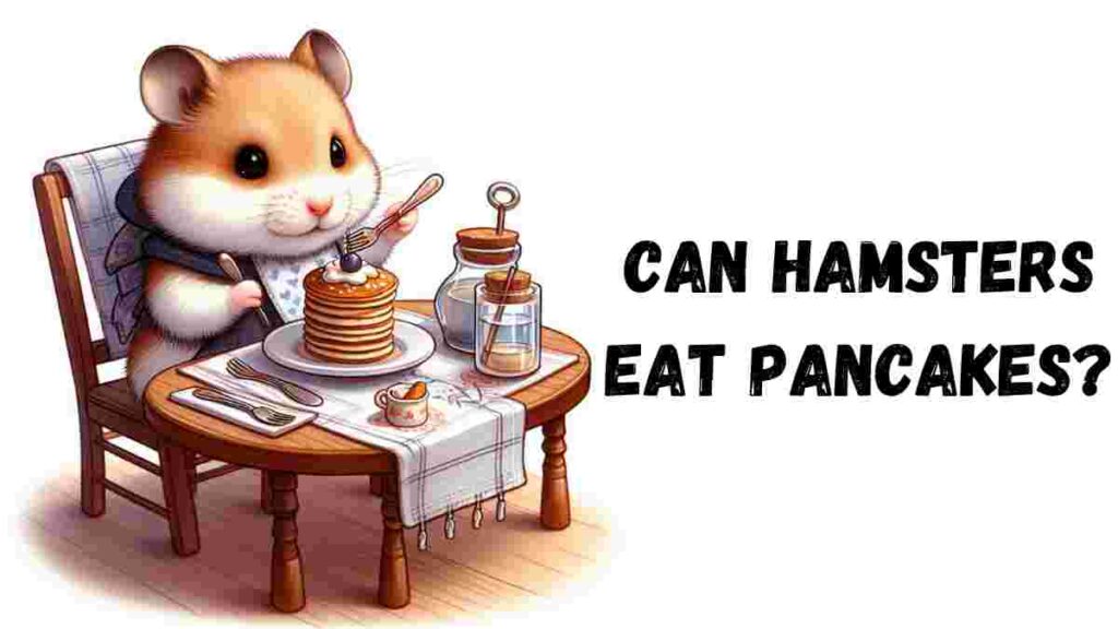 Can hamsters eat pancakes