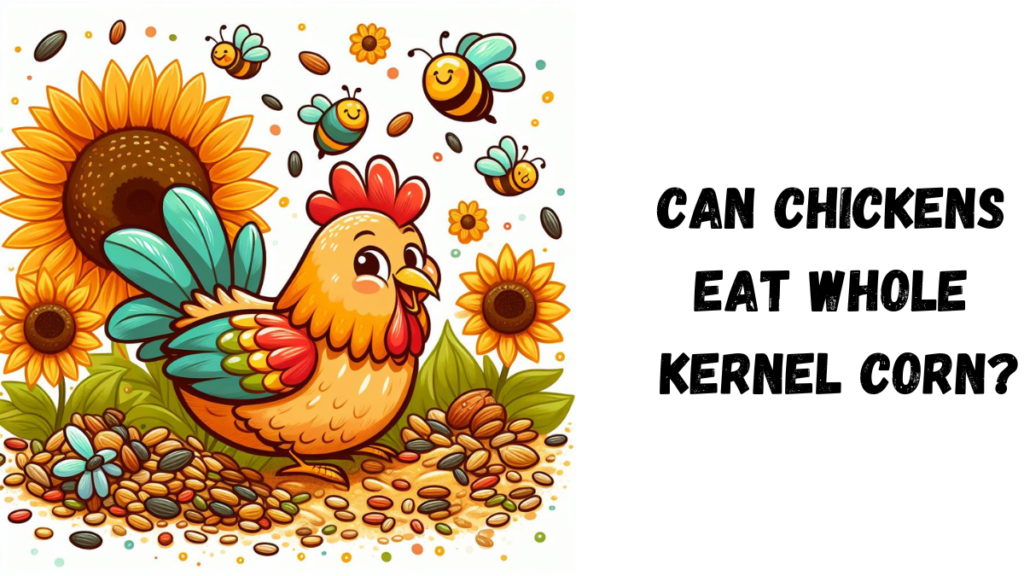 Can chickens eat whole kernel corn