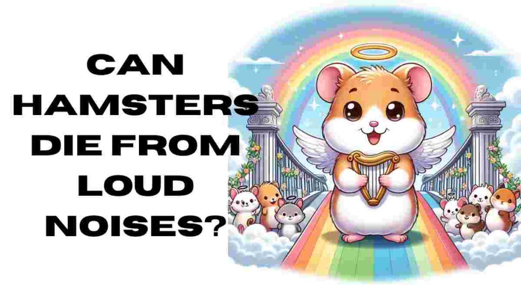 Can Hamsters Die From Loud Noises