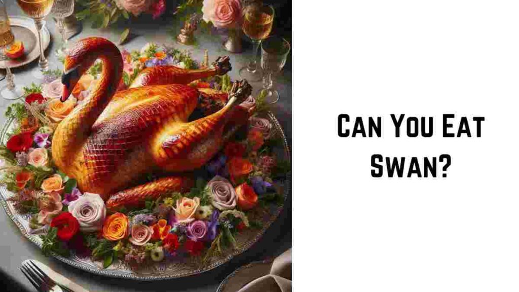 Can You Eat Swan